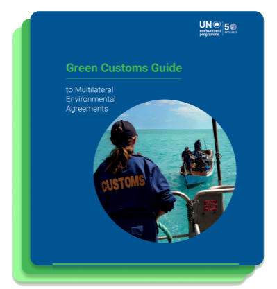 GREEN CUSTOMS GUIDE